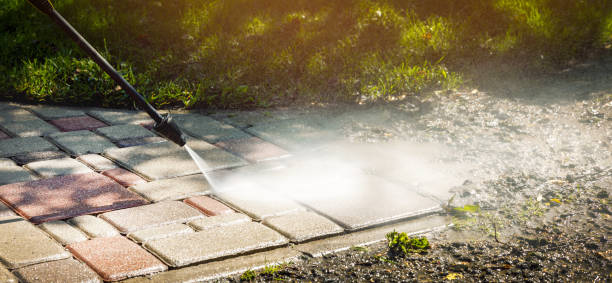 Best Driveway Pressure Washing  in Lford, MI